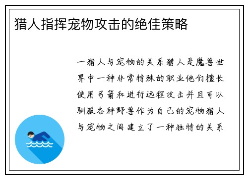 猎人指挥宠物攻击的绝佳策略